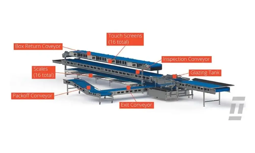 The Benefits of Automation in Seafood Processing: More Throughput, Less Handling, Better Control